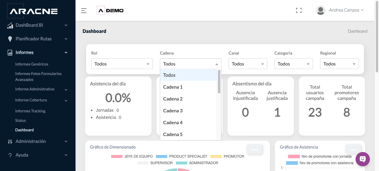 Gráfico ampliado del Dashboard