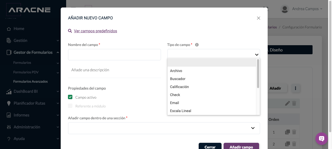 Primeros tipos de campo